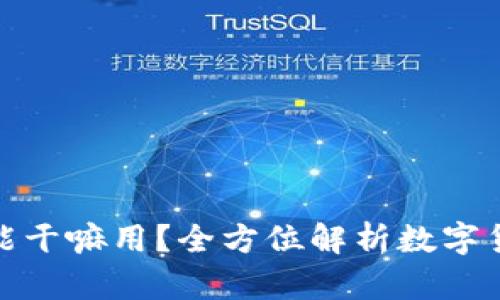 加密数字货币能干嘛用？全方位解析数字货币的应用价值