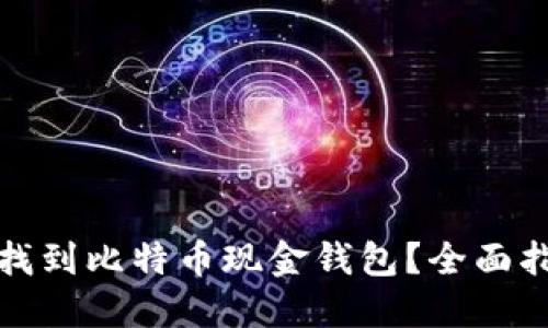 哪里可以找到比特币现金钱包？全面指南与推荐
