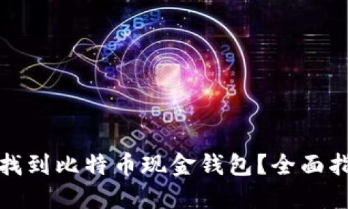 哪里可以找到比特币现金钱包？全面指南与推荐
