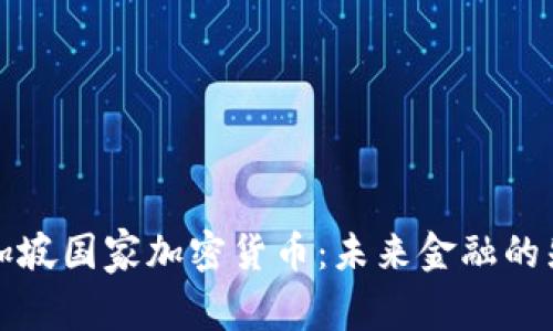 新加坡国家加密货币：未来金融的先锋