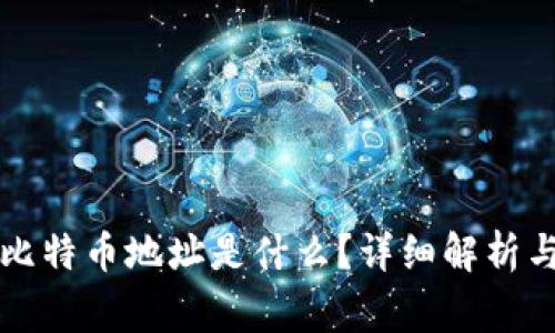 钱包里的比特币地址是什么？详细解析与常见问题