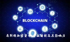 马斯特加密货币：全面解析及其影响力