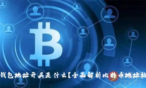 : 比特币钱包地址开头是什么？全面解析比特币地址格式与类型