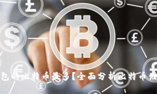 哪个钱包的比特币最多？全面分析比特币储存钱包