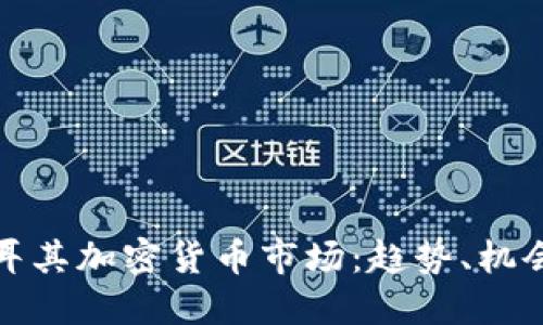探索土耳其加密货币市场：趋势、机会与挑战