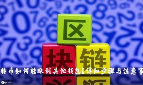 比特币如何转账到其他钱包？详细步骤与注意事项