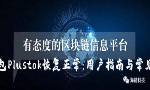 比特币钱包Plustok恢复正常:用户指南与常见问题解答