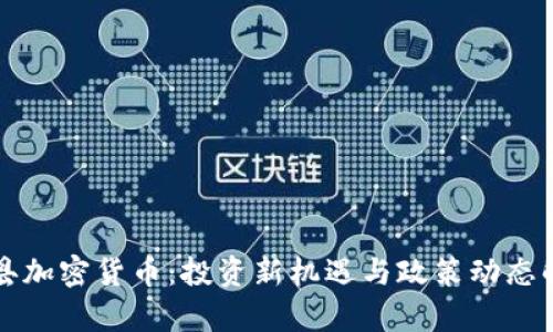 冠县加密货币：投资新机遇与政策动态解析