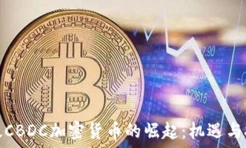 美版CBDC加密货币的崛起:机遇与挑战