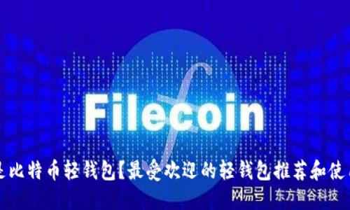 什么是比特币轻钱包？最受欢迎的轻钱包推荐和使用指南