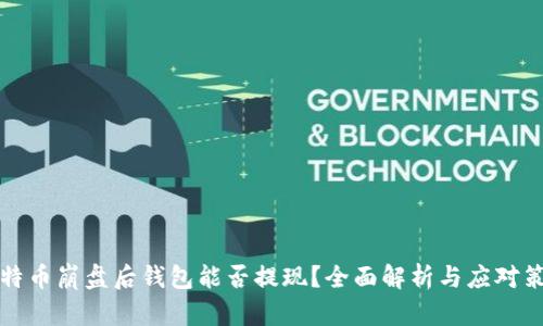 比特币崩盘后钱包能否提现？全面解析与应对策略