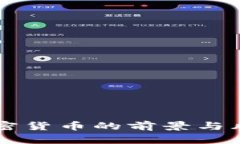 电子加密货币的前景与风险分析