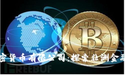 尼日利亚加密货币有限公司：探索非洲金融科技的未来