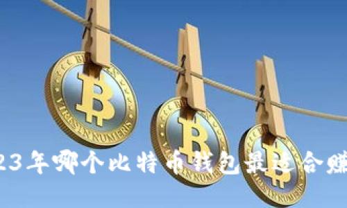 2023年哪个比特币钱包最适合赚钱?
