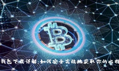 比特币钱包下载详解:如何安全高效地获取你的比特币钱包