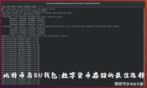 比特币与BU钱包:数字货币存储的最佳选择