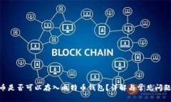 BSV币是否可以存入比特币钱包？详解与常见问题