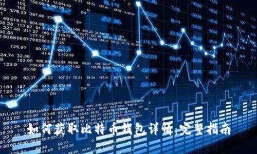 如何获取比特币钱包详情:完整指南