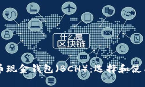 比特币现金钱包(BCH):选择和使用指南
