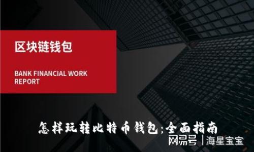 怎样玩转比特币钱包:全面指南