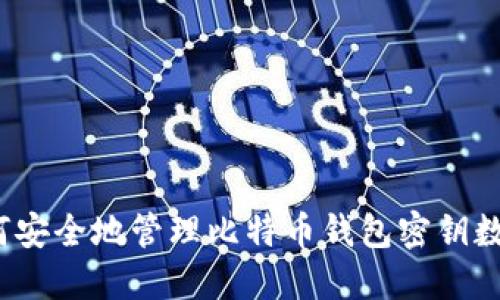 如何安全地管理比特币钱包密钥数据？