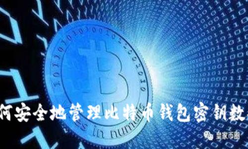 如何安全地管理比特币钱包密钥数据？