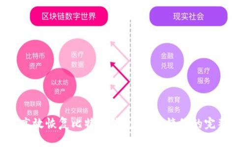 如何高效恢复比特币钱包：底层镜像的完整指南