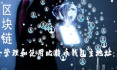 如何安全管理和使用比特币钱包主地址：新手指