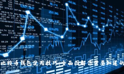 掌握比特币钱包使用技巧:全面图解你需要知道的一切