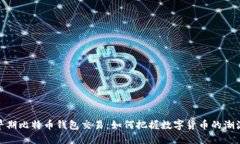 揭秘早期比特币钱包交易：如何把握数字货币的