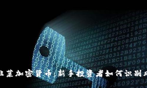 深入探索韭菜加密货币：新手投资者如何识别风险与机遇