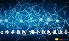 寻找最佳比特币钱包：哪个钱包最适合你的需求
