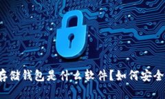 全面解析：比特币存储钱包是什么软件？如何安