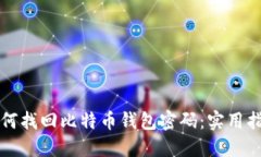 如何找回比特币钱包密码：实用指南