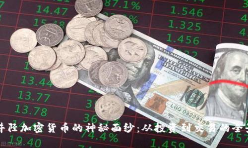 揭开井陉加密货币的神秘面纱:从投资到交易的全景解析