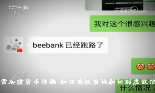 揭露加密货币诈骗:如何有效查询和识别虚假信息