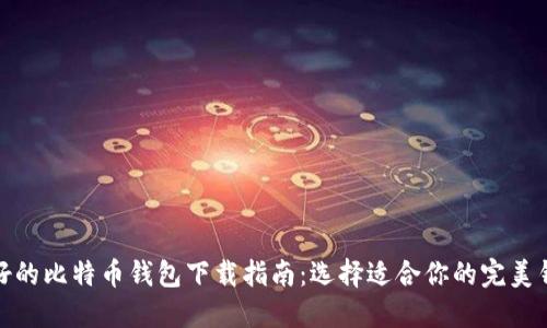 最好的比特币钱包下载指南:选择适合你的完美钱包