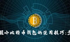 轻松掌握小比特币钱包的使用技巧：步骤详解