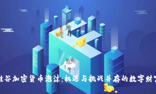 揭秘硅谷加密货币泡沫:机遇与挑战并存的数字财富之路