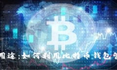 探索比特币钱包的用途：如何利用比特币钱包管