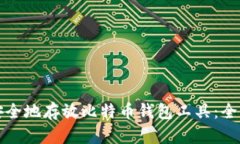 如何安全地存放比特币钱包工具：全面指南
