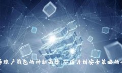 揭秘比特币账户钱包的神秘面纱：从图片到安全