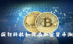 深度解析：国锂科技如何在加密货币潮流中崛起