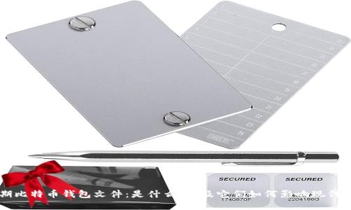 揭秘早期比特币钱包文件:是什么,以及它们如何影响现代加密货币