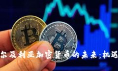 探索阿尔及利亚加密货币的未来：机遇与挑战