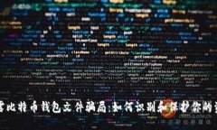 揭露比特币钱包文件骗局：如何识别和保护你的