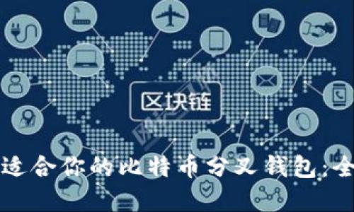 如何选择适合你的比特币分叉钱包:全方位指南