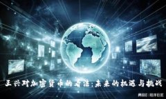 王兴对加密货币的看法：未来的机遇与挑战