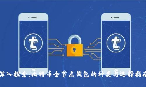 深入探索:比特币全节点钱包的种类与选择指南