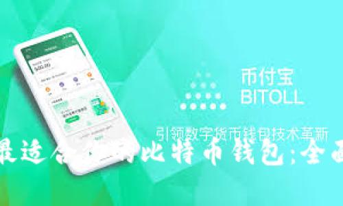 选择最适合你的比特币钱包:全面指南